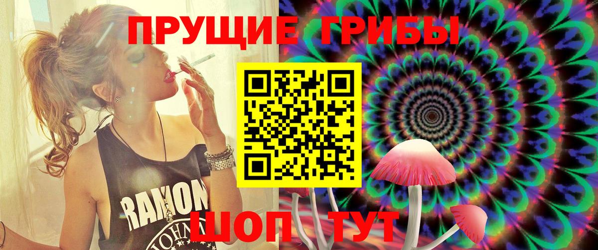 Галлюциногенные грибы MAGIC MUSHROOMS Вышний Волочёк